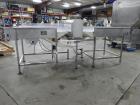 Mettler Toledo Safeline Metal Detector